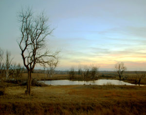 Peterson_Prairie Fire smaller